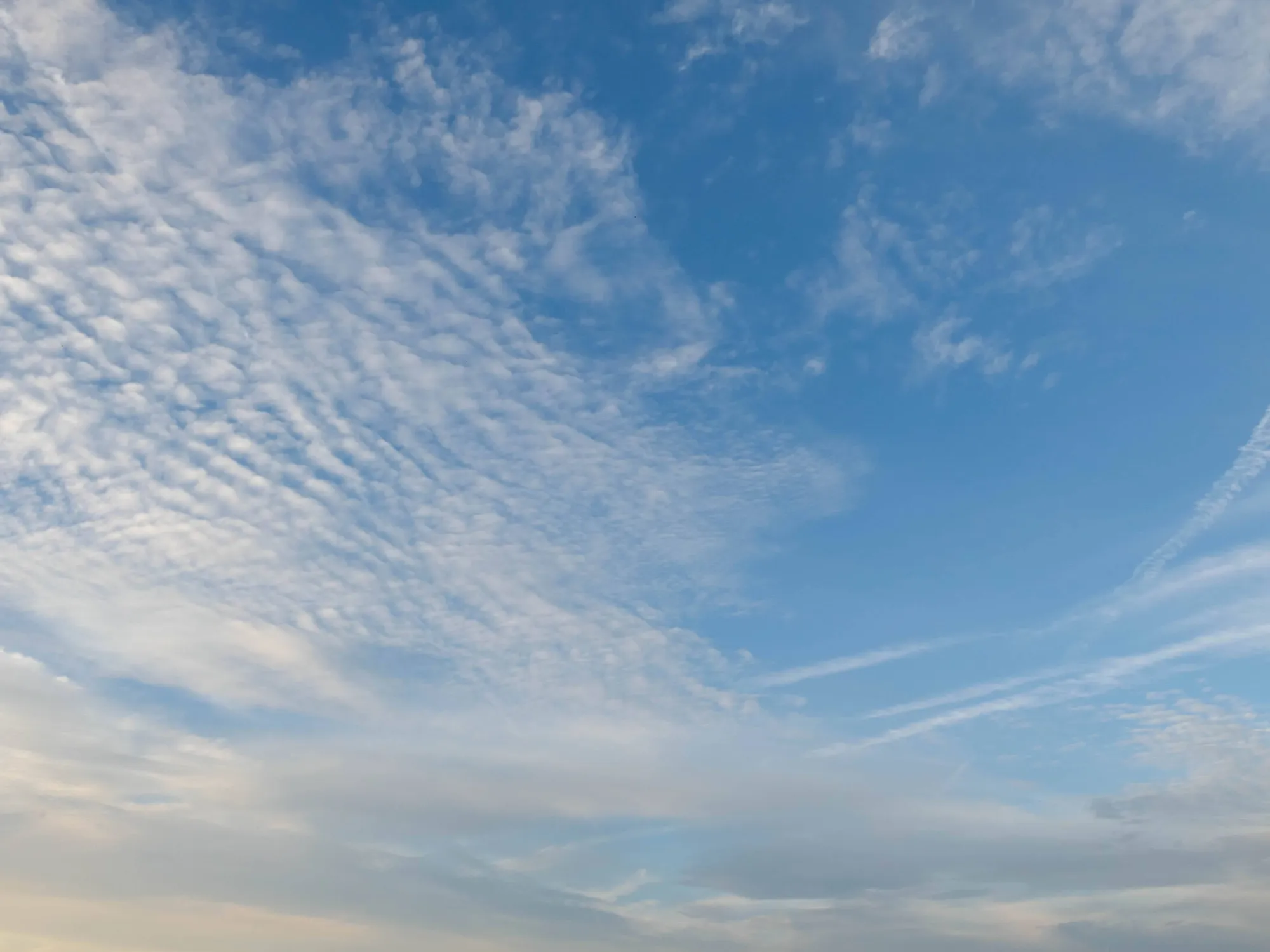 Paysage naturel