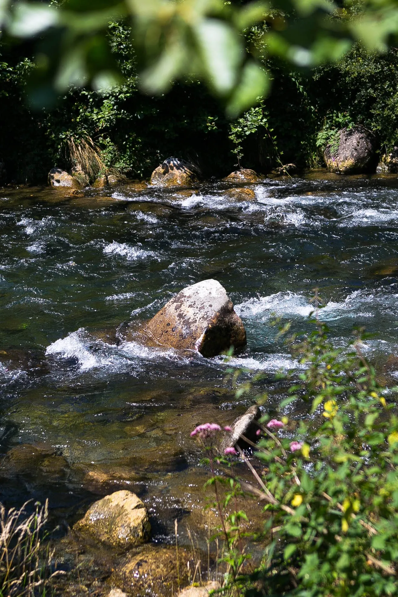 Paysage naturel