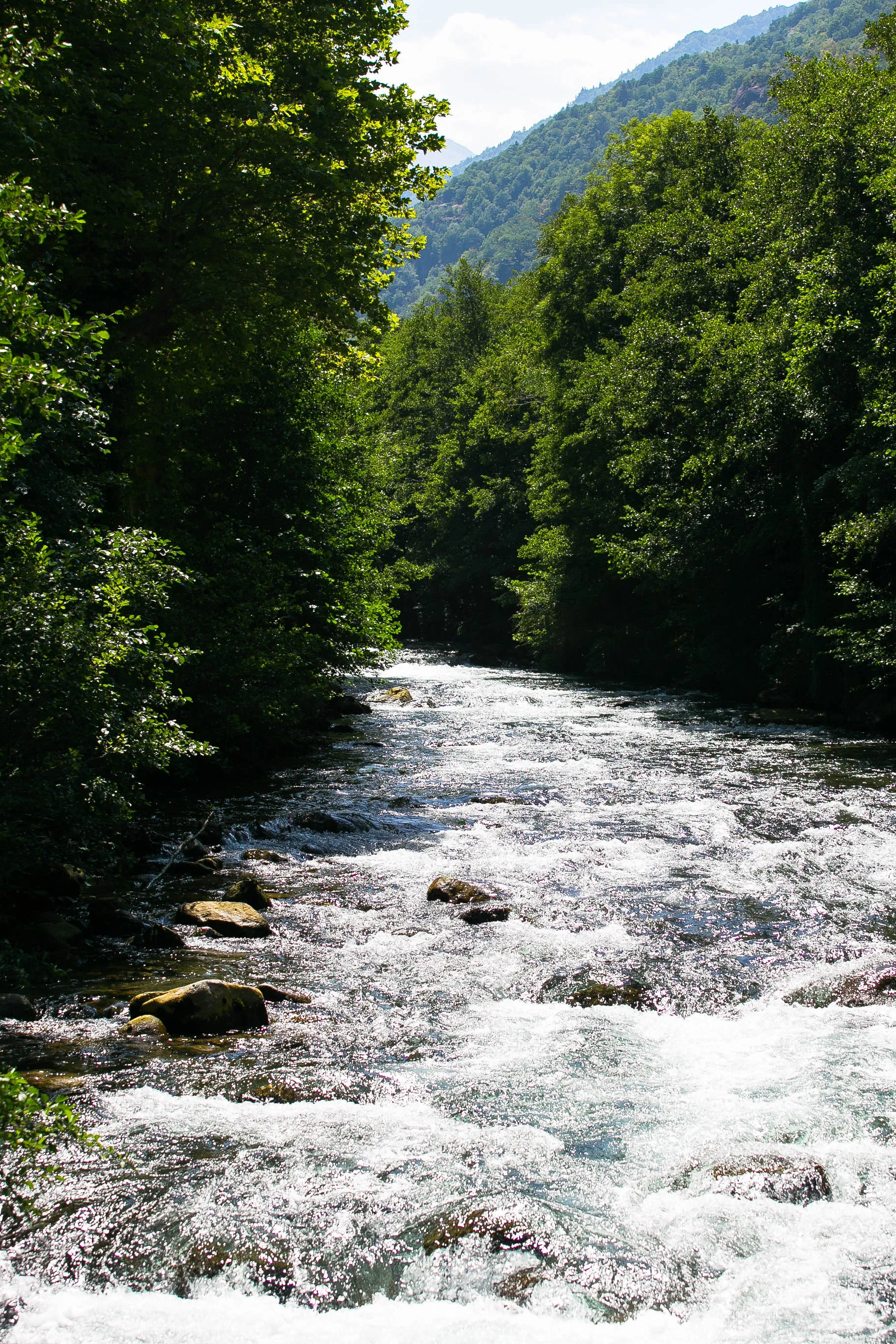 Paysage naturel