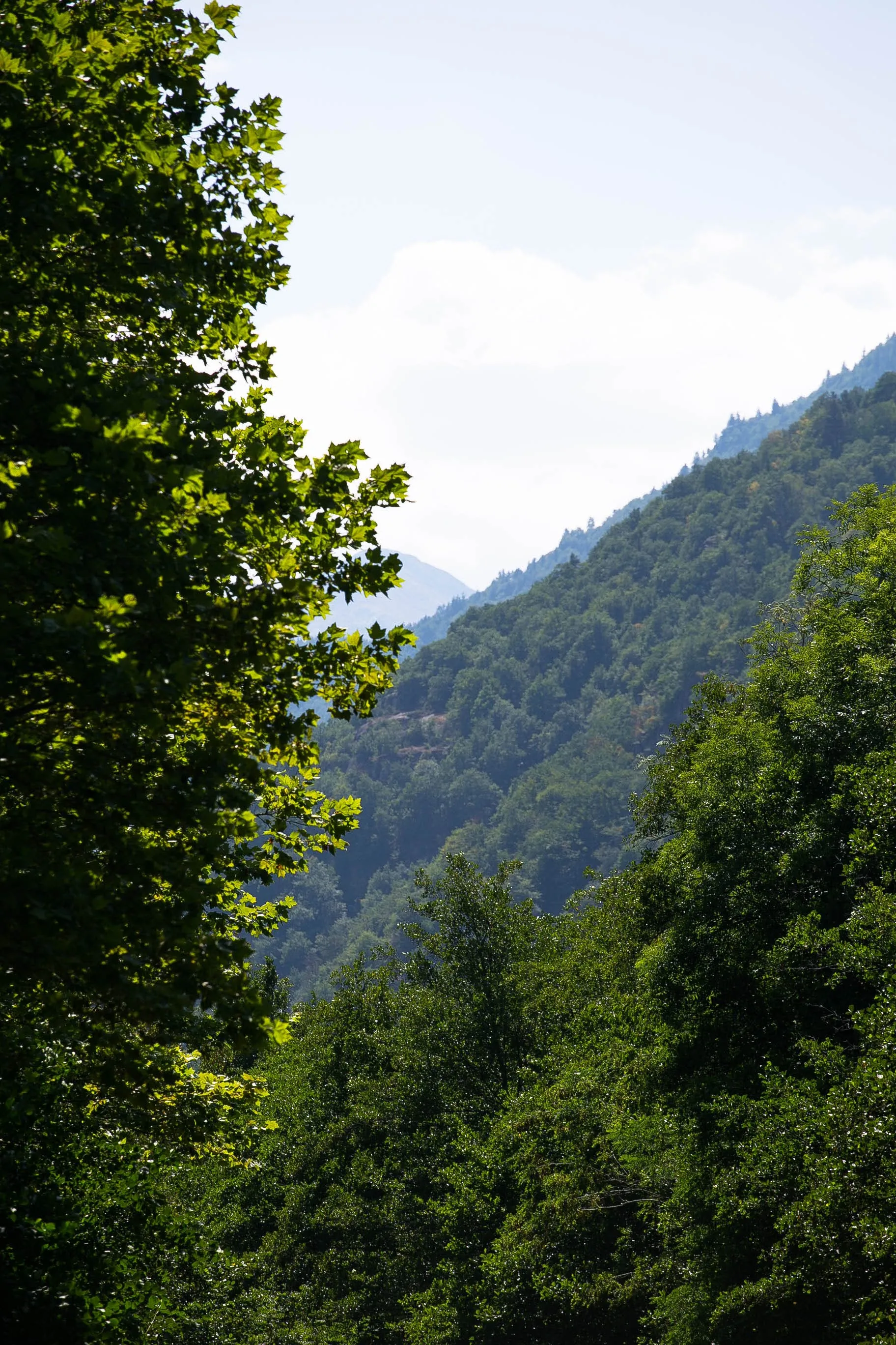 Paysage naturel